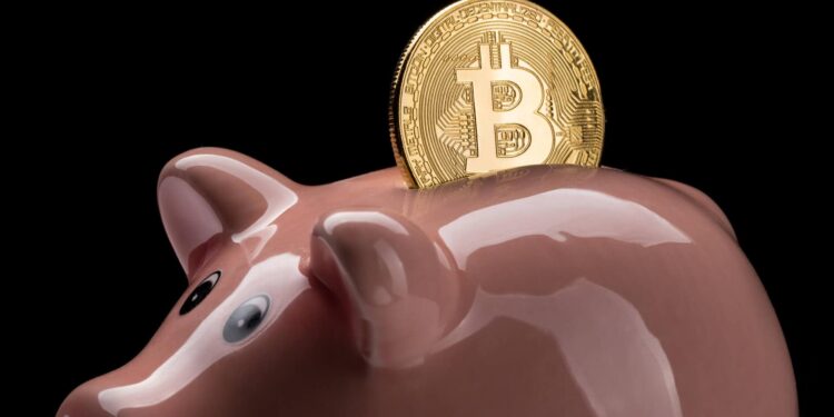 研究數據出人意料：2017 牛市迄今，近半數比特幣未被挪動過