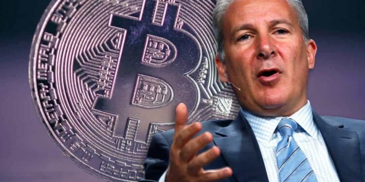 兒子投資組合全是比特幣！Peter Schiff 氣炸：年輕人都被洗腦