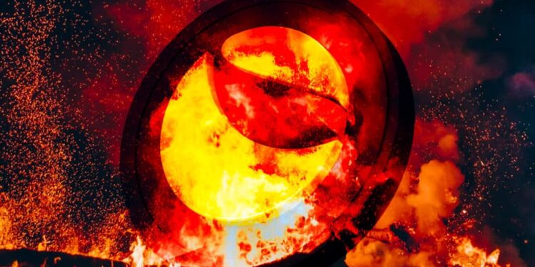 35 歲程式設計師：我捲入幣圈死亡螺旋，千萬資產 3 天歸零