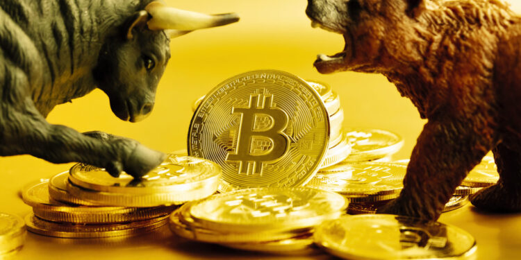 比特幣撐盤、競爭幣遭血洗!幣市上半年「原地踏步」,下半年行情怎麼走?