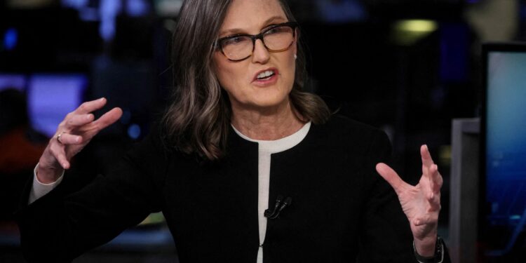 Solmate 以 85 折買進 5 千萬美元 SOL!「女股神」方舟投資趁勢入股