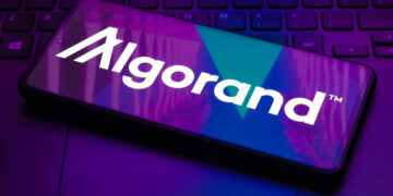 Algorand 公布「抗量子路線圖」，力拚 2027 年全面大升級