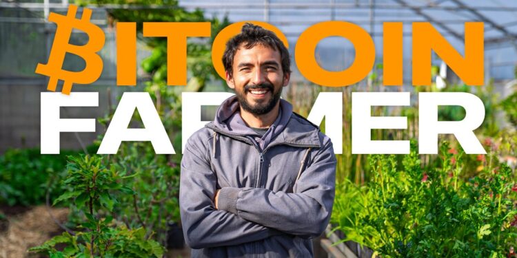 比特幣挖礦也能種出有機香草！葡萄牙農場用礦機廢熱「供暖又賺幣」